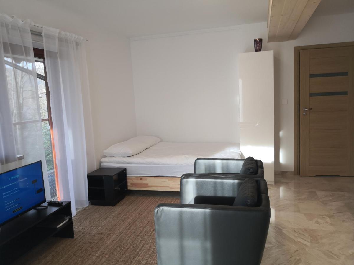Willa Nika, Apartamenty ซาโกปาเน ภายนอก รูปภาพ