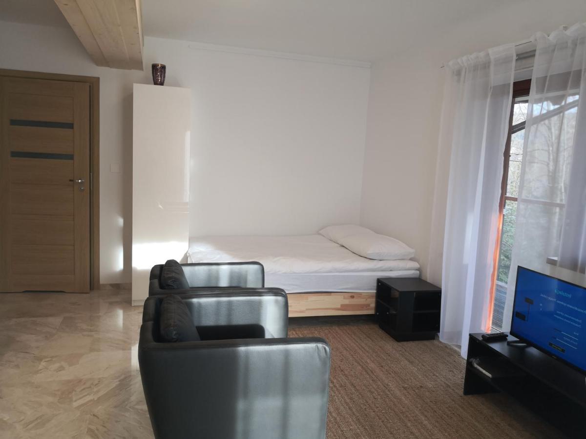 Willa Nika, Apartamenty ซาโกปาเน ภายนอก รูปภาพ
