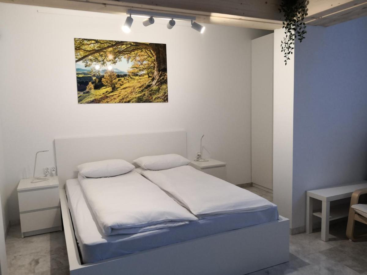 Willa Nika, Apartamenty ซาโกปาเน ภายนอก รูปภาพ